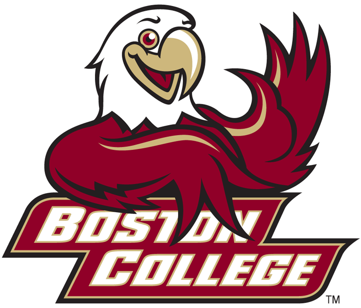 Boston College Eagles 2001-Pres Mascot Logo v2 DIY iron on transfer (heat transfer)